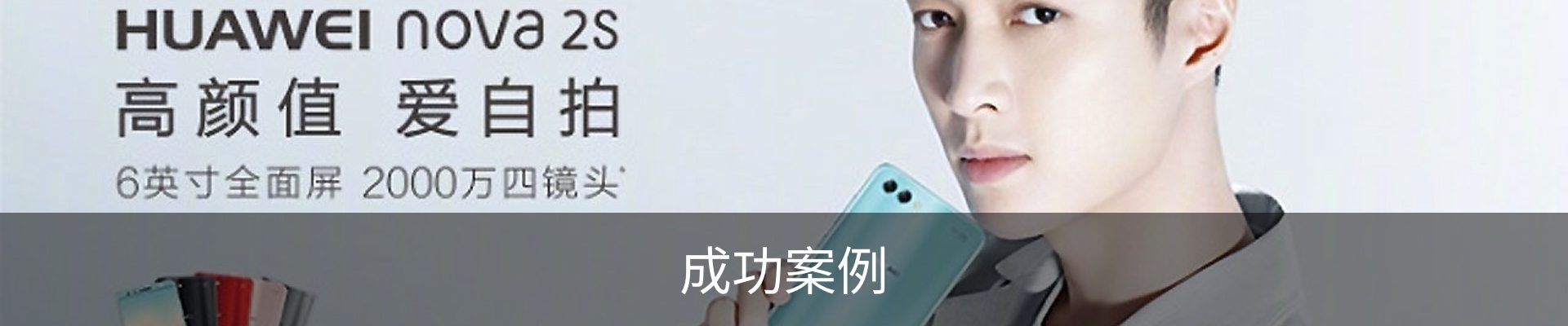 成功案例
